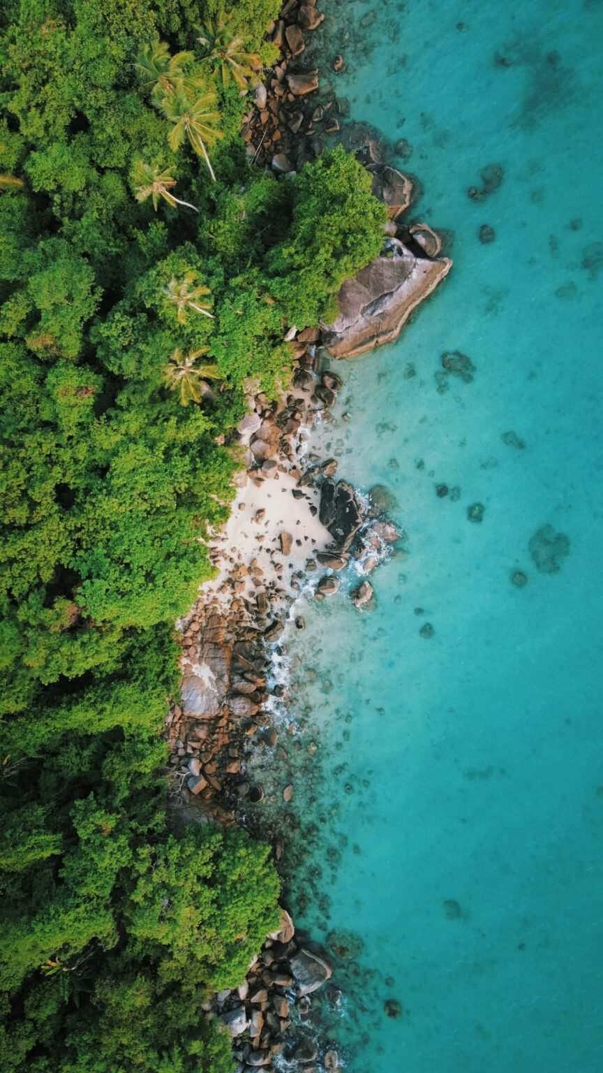 Top scuba diving destinations in Southeast Asia 2026