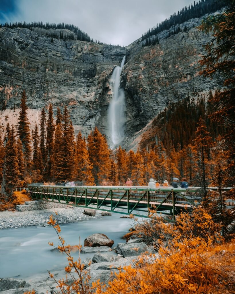 Best national parks in Canada for wildlife photography